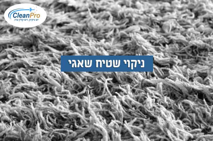 ניקוי-שטיח-שאגי