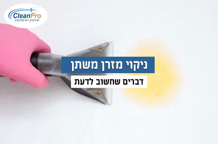 ניקוי-מזרן-משתן