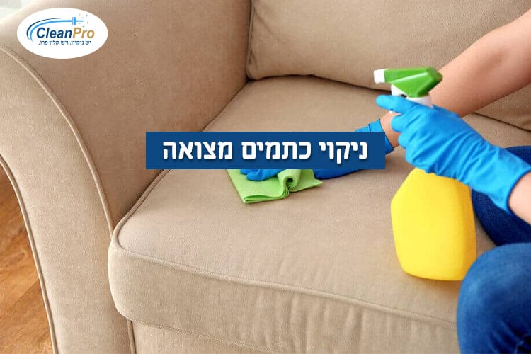 ניקוי-כתמים-מצואה