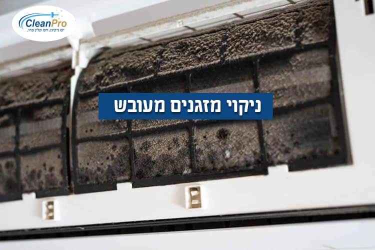 ניקוי-מזגנים-מעובש