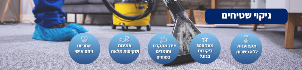 ניקוי שטיחים