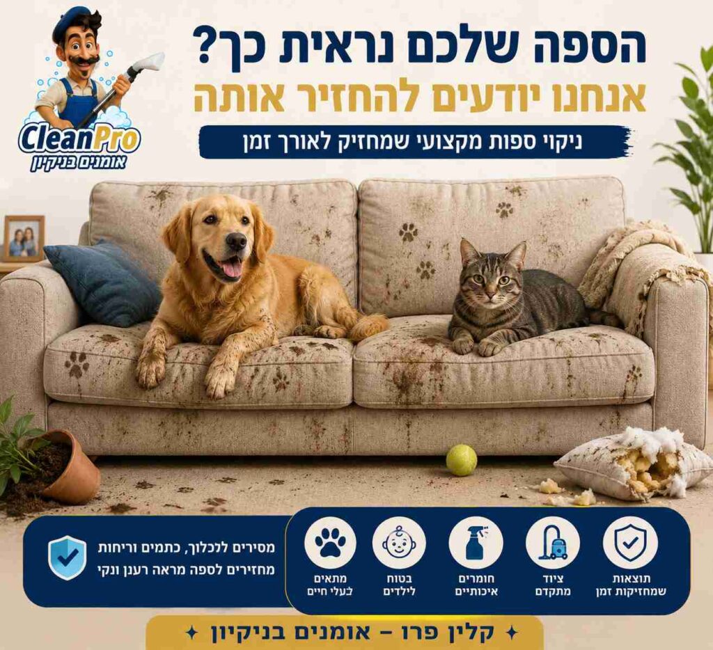 כמה זמן נשארת ספה נקייה אחרי הניקוי